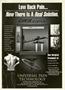 Page: - 28 | The American Chiropractor