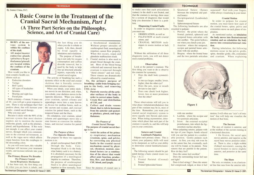 A Basic Course in the Treatment of the Cranial Sacral Mechanism, Part 1 (A Three Part Series on the Philosophy, Science, and Art of Cranial Care)