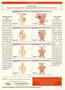 Page: - 37 | The American Chiropractor