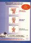 Page: - 13 | The American Chiropractor