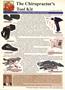 Page: - 34 | The American Chiropractor