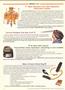 Page: - 12 | The American Chiropractor