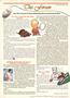 Page: - 8 | The American Chiropractor