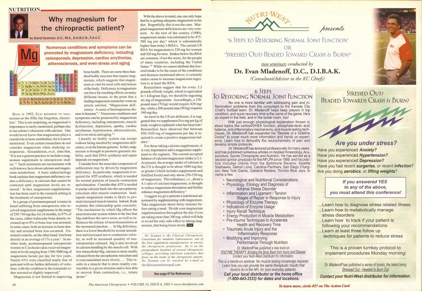Why magnesium for the chiropractic patient?