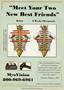 Page: - 17 | The American Chiropractor