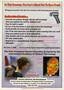 Page: - 31 | The American Chiropractor
