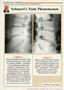 Page: - 14 | The American Chiropractor
