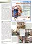 Page: - 19 | The American Chiropractor