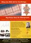 Page: - 2 | The American Chiropractor