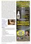 Page: - 25 | The American Chiropractor