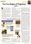 Page: - 36 | The American Chiropractor