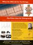 Page: - 43 | The American Chiropractor