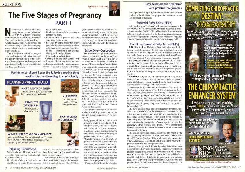 The Five Stages of Pregnancy PART I