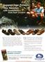 Page: - 4 | The American Chiropractor