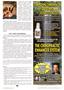 Page: - 25 | The American Chiropractor