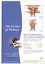 Page: - C4 | The American Chiropractor