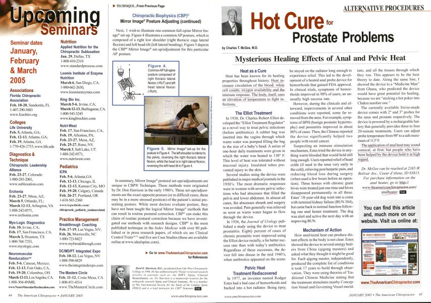 Hot Cure for Prostate Problems