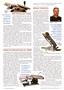 Page: - 27 | The American Chiropractor