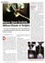 Page: - 28 | The American Chiropractor