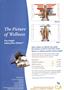 Page: - C4 | The American Chiropractor