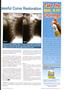 Page: - 41 | The American Chiropractor
