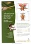 Page: - C4 | The American Chiropractor