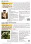 Page: - 22 | The American Chiropractor