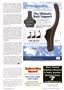 Page: - 31 | The American Chiropractor