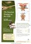 Page: - C4 | The American Chiropractor