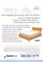 Page: - 27 | The American Chiropractor