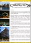 Page: - 52 | The American Chiropractor