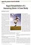 Page: - 24 | The American Chiropractor