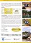 Page: - 33 | The American Chiropractor