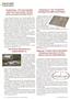 Page: - 36 | The American Chiropractor