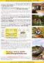 Page: - 33 | The American Chiropractor