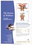 Page: - 9 | The American Chiropractor