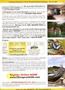Page: - 33 | The American Chiropractor