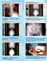Page: - C2b | The American Chiropractor