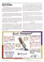 Page: - 23 | The American Chiropractor