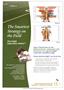 Page: - C4 | The American Chiropractor