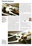 Page: - 54 | The American Chiropractor
