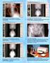 Page: - C2b | The American Chiropractor