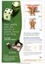 Page: - C4 | The American Chiropractor