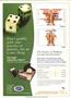 Page: - C4 | The American Chiropractor