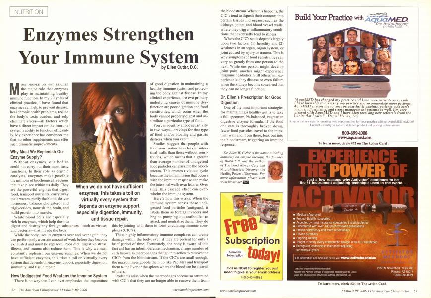 Enzymes Strengthen Your Immune System