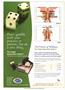 Page: - C4 | The American Chiropractor