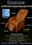Page: - 22 | The American Chiropractor