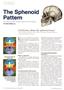 Page: - 26 | The American Chiropractor