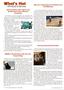 Page: - 8 | The American Chiropractor