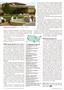 Page: - 30 | The American Chiropractor